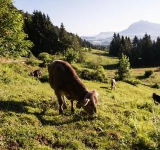 Berger Wohlfuehloase דירה Fischen im Allgaeu